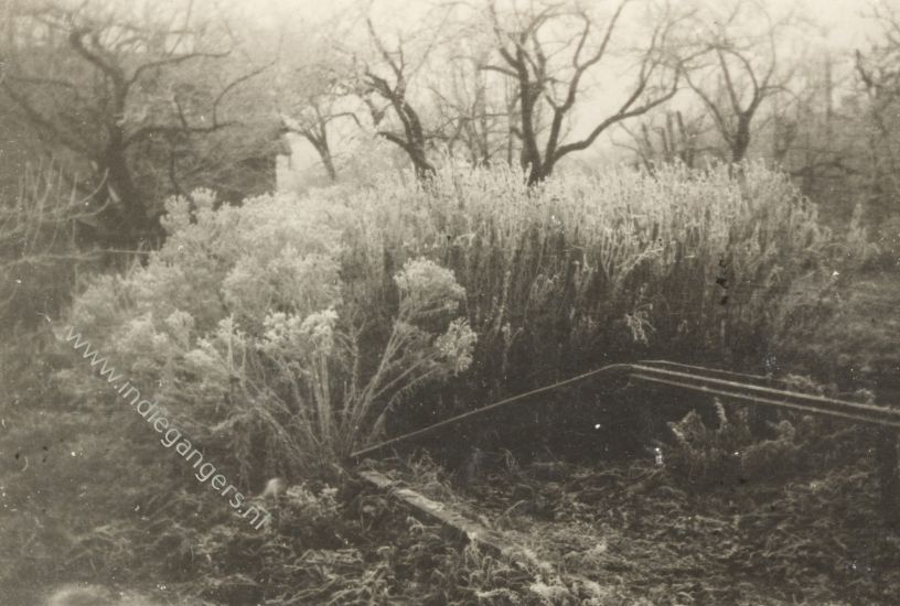13 de boomgaard