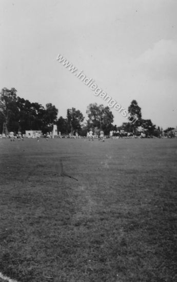 l 85 sporten op het sportveld