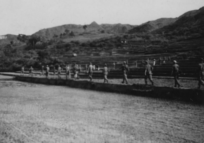 25 januari 1949 patrouille door de sawahs