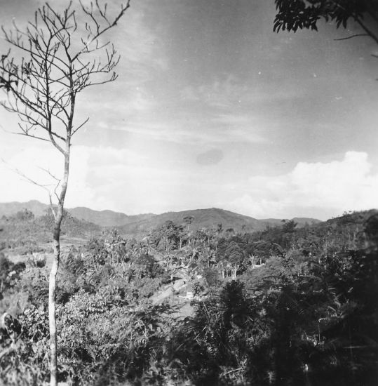 82 Adiankoting aug 1949