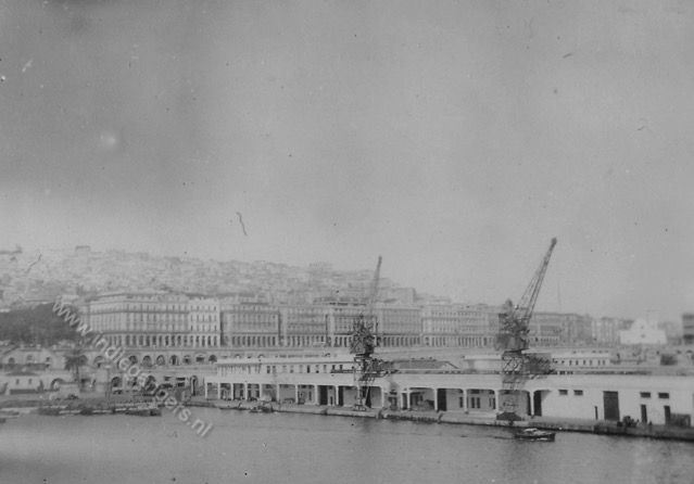7 Haven algiers