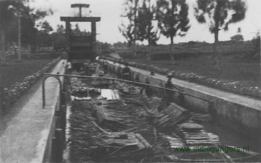 nijhof 11